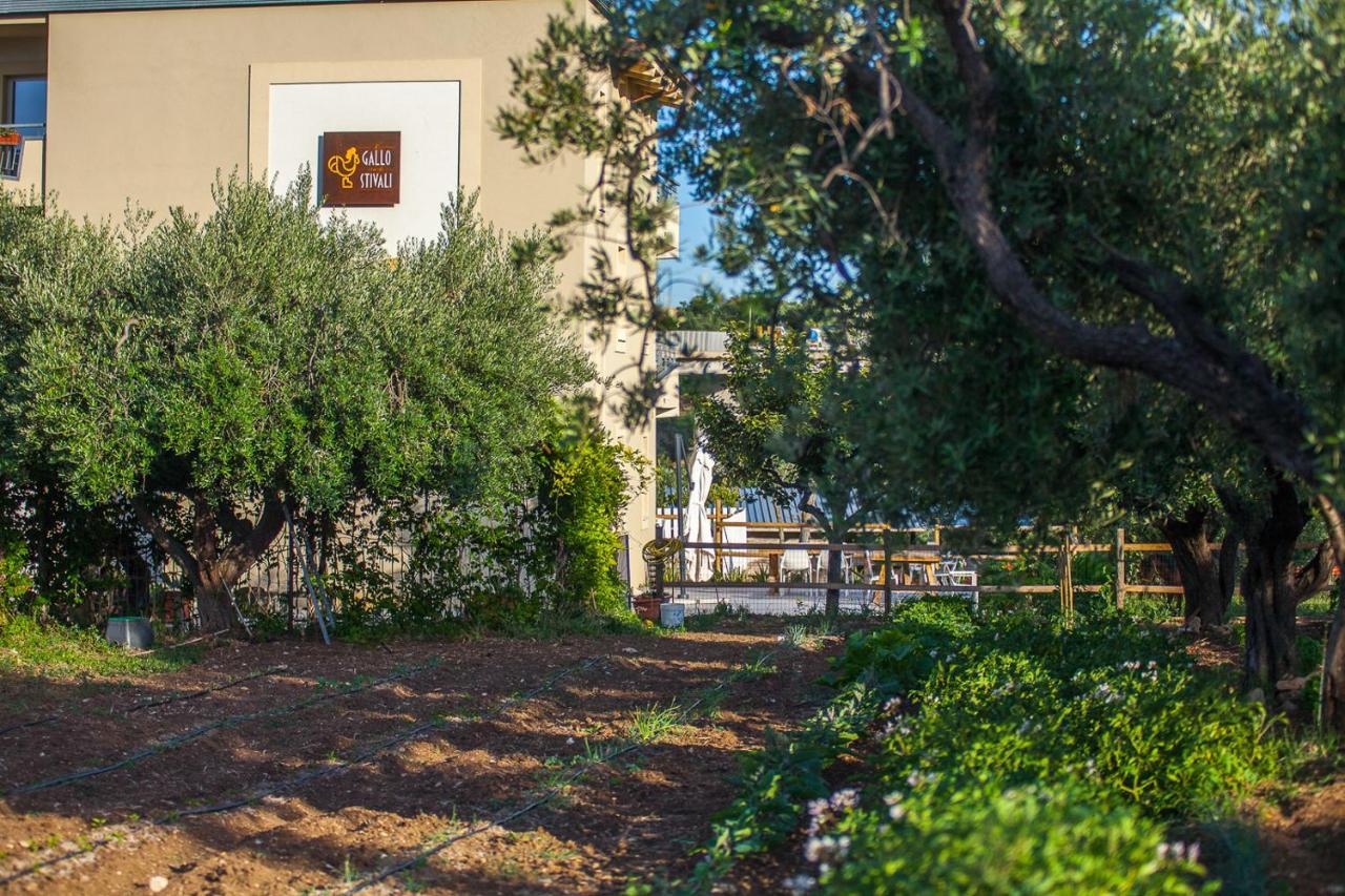 Il Gallo Con Gli Stivali Termoli Exterior photo